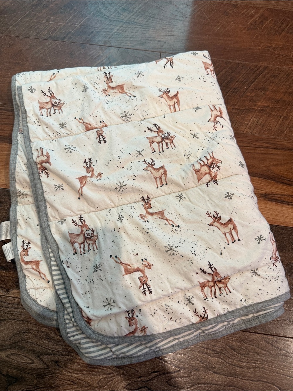 Burt’s Bees Baby Blanket